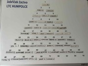 aktuální klubový žebříček