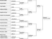 pavouk dvouhry st. žákyň v Hradci Králové