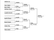 pavouk dvouhry starších žáků v Humpolci