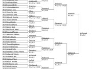 pavouk dvouhry starších žákyň v Měcholupech