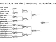 Pavouk dvouhry mladších žáků - Tišnov